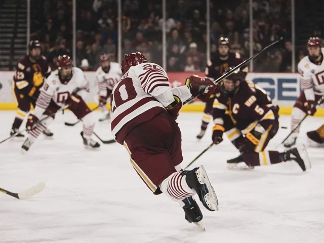 Noctaupus maestria identite cover