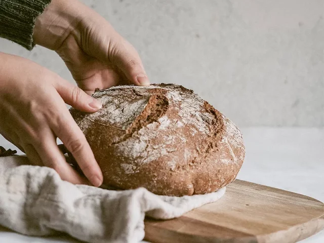 Noctaupus Fournilbio Fiche Levains